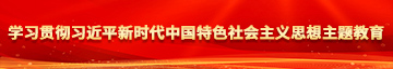 草逼逼逼逼学习贯彻习近平新时代中国特色社会主义思想主题教育