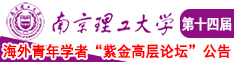 国产骚逼南京理工大学第十四届海外青年学者紫金论坛诚邀海内外英才！